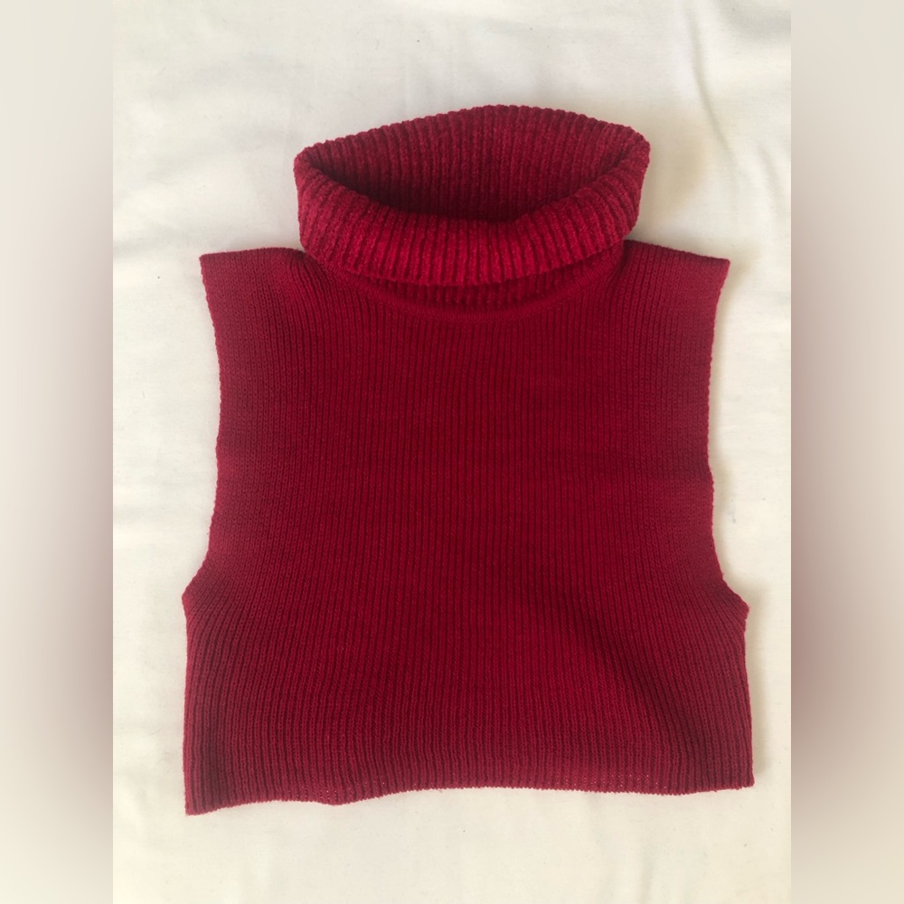 🔴Vintage Specialty House Cropped Turtleneck Top